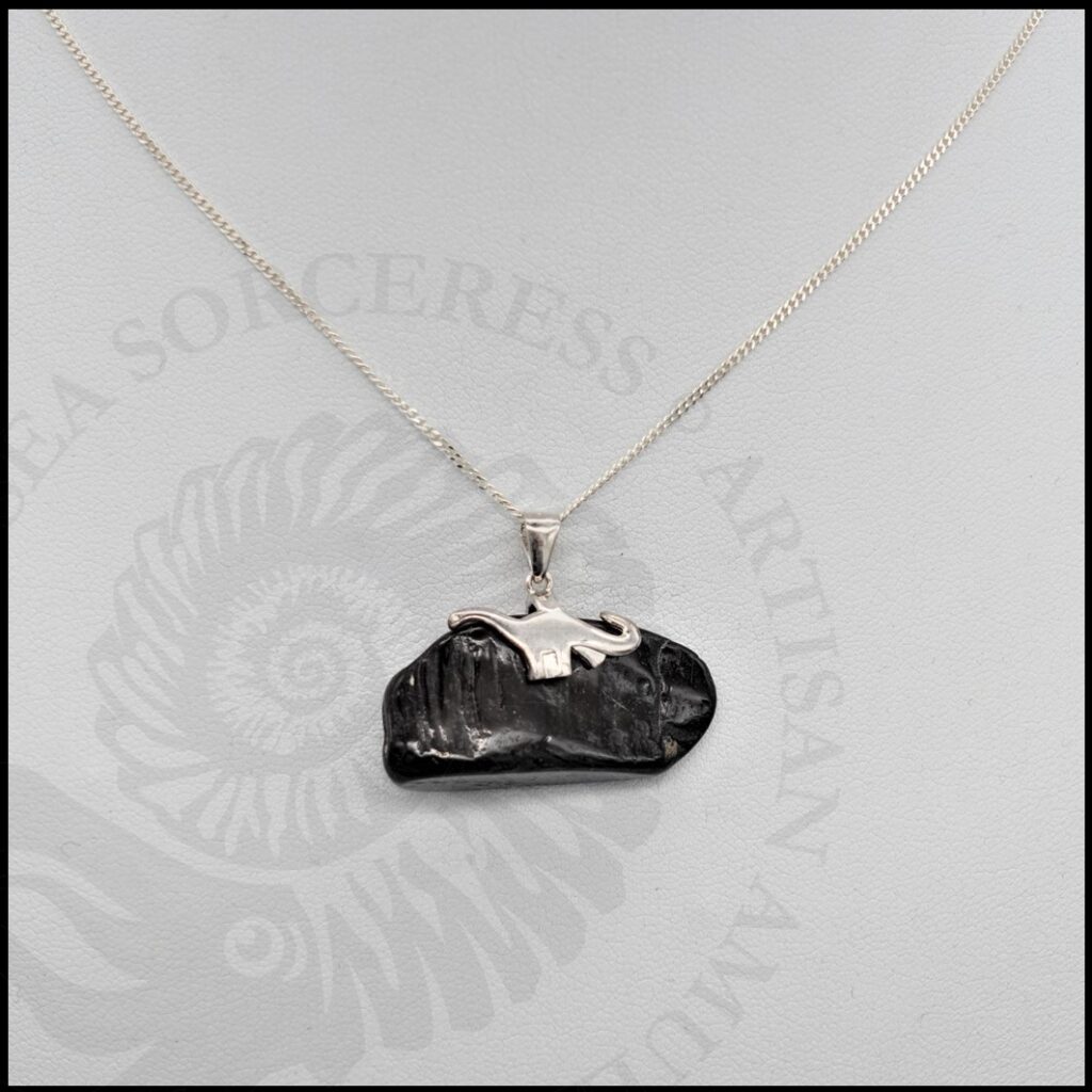 image of polished raw whitby jet pendant with 925 sterling silver dinosaur bail